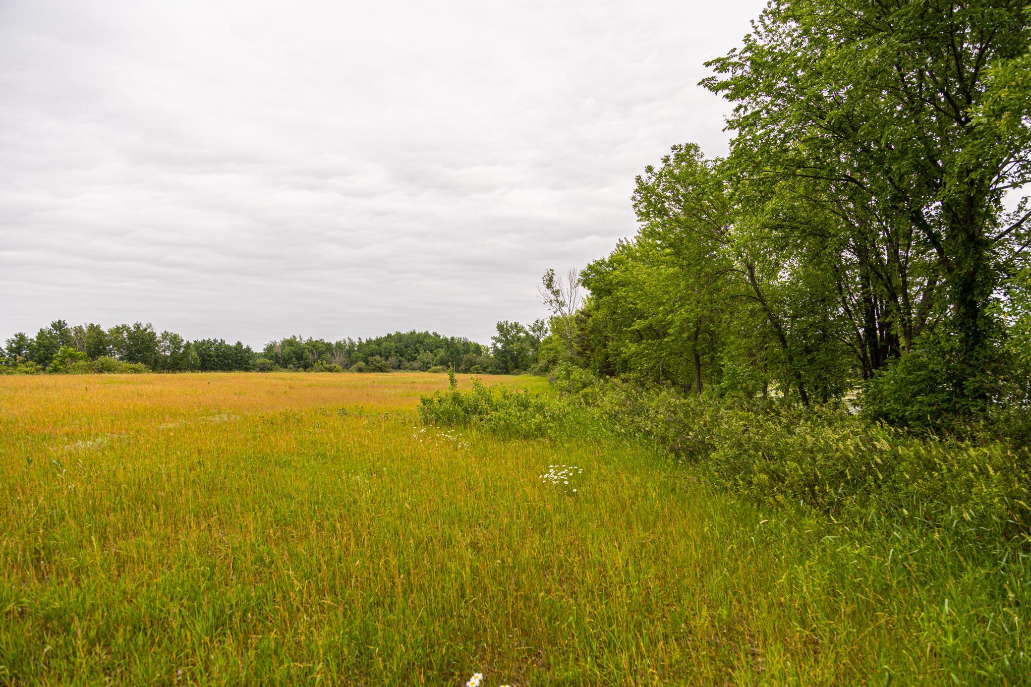 000 Craft Lane, Pine City, Minnesota image 16