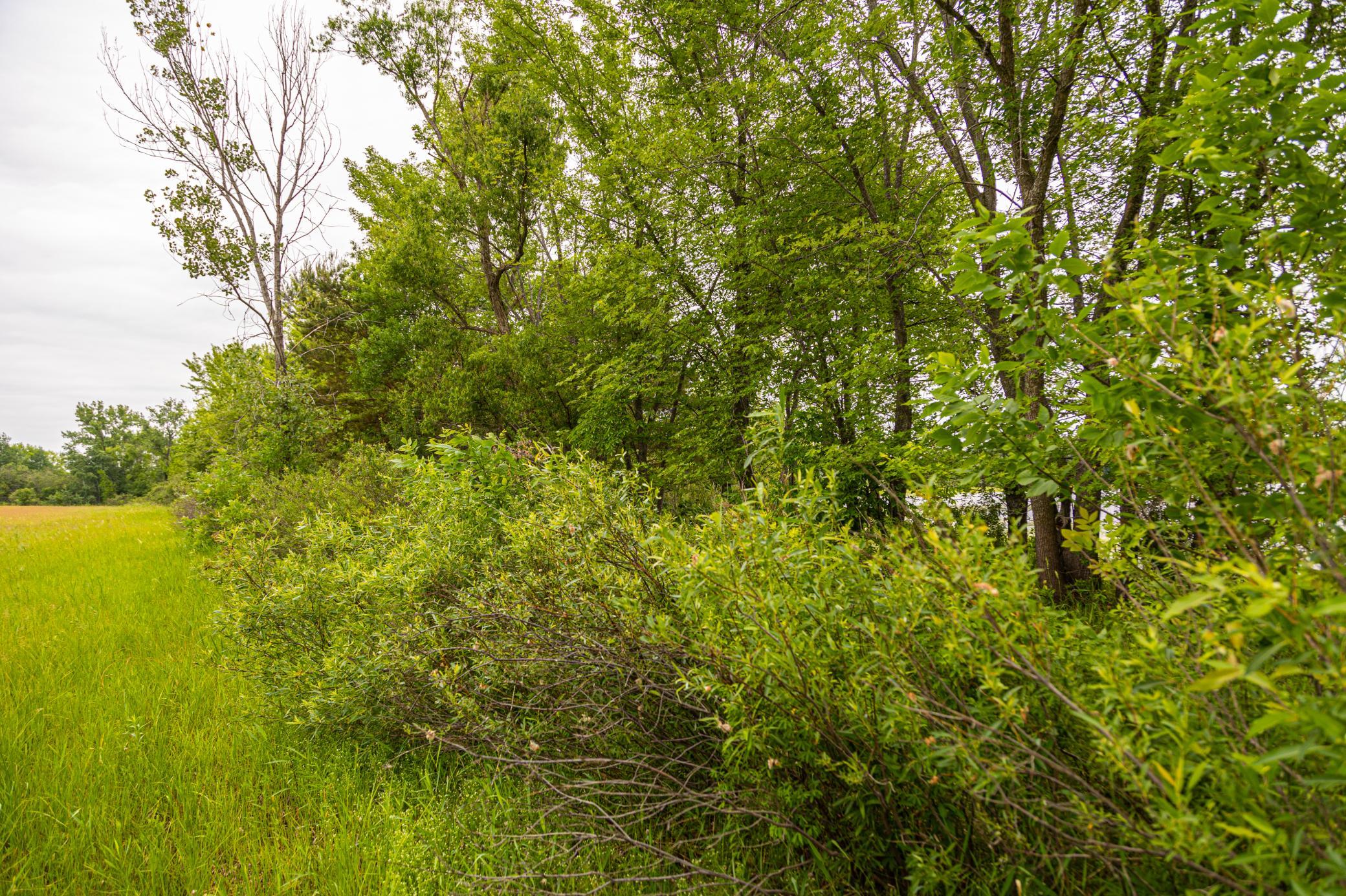 000 Craft Lane, Pine City, Minnesota image 37