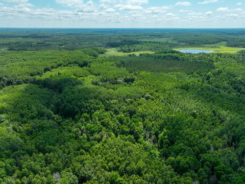 Vacant Land For Sale - TBD Sago 5<br/> Itasca County, Swan River, MN 55784