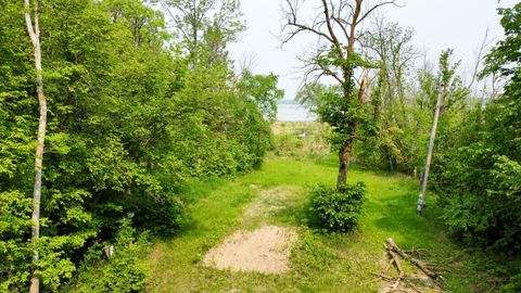 Vacant Land For Sale - 37551 County Road 126<br/> Rochert, MN 56578