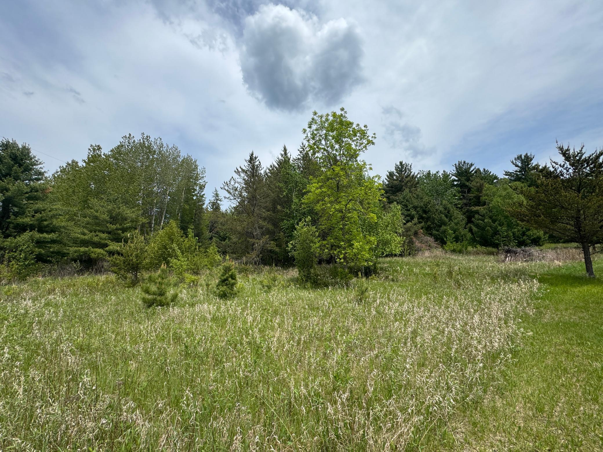 TBD1 Aurora Drive, Walker, Minnesota image 6