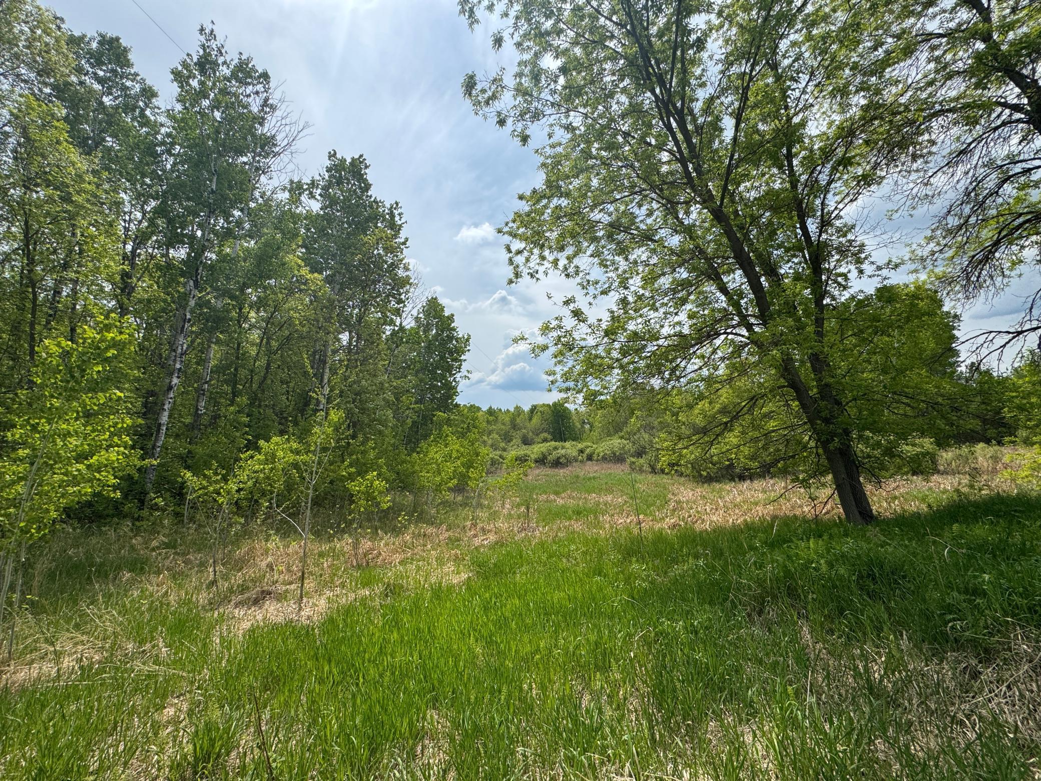 TBD1 Aurora Drive, Walker, Minnesota image 2