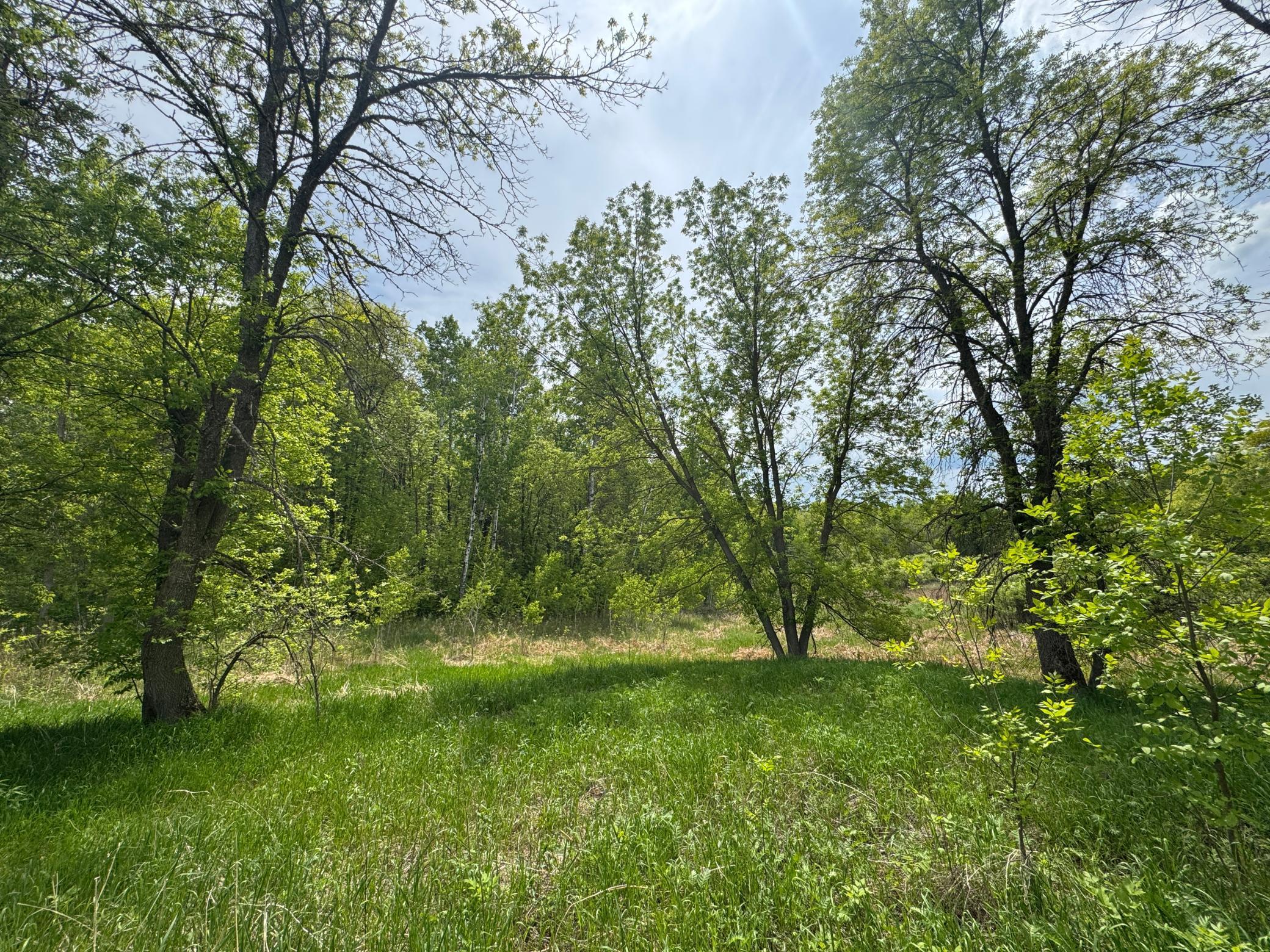 TBD1 Aurora Drive, Walker, Minnesota image 3