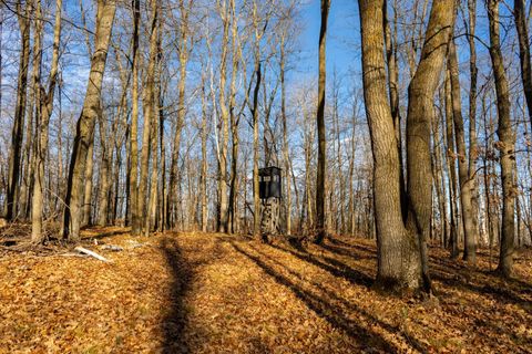 Vacant Land For Sale - TBD 48th Street<br/> Pine River, MN 56474