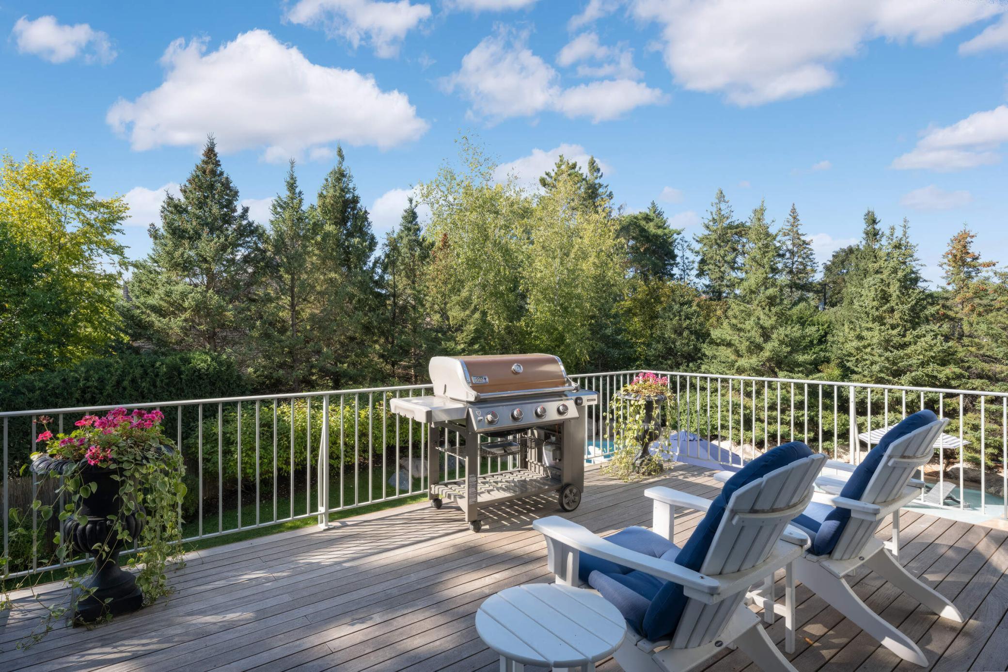 16110 Crosby Cove Road, Wayzata, Minnesota image 24