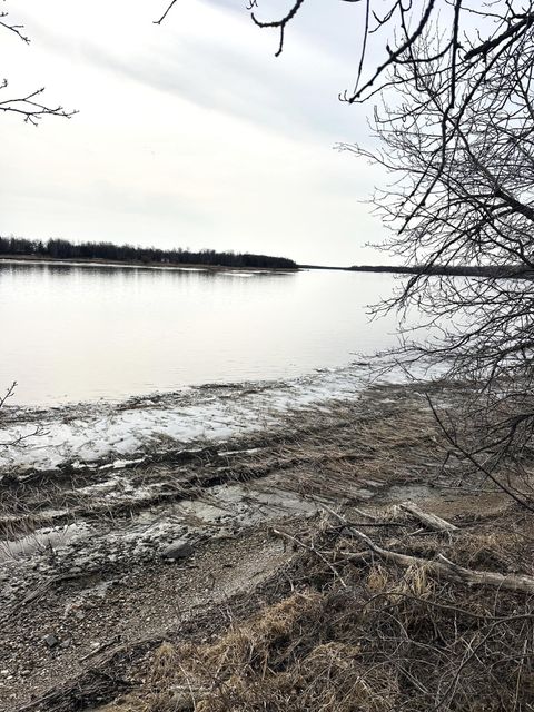 Vacant Land For Sale - TBD Maple Drive<br/> Baudette, MN 56623