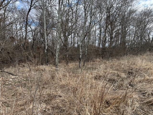 XXX County Road 18, Brooten, Minnesota image 7
