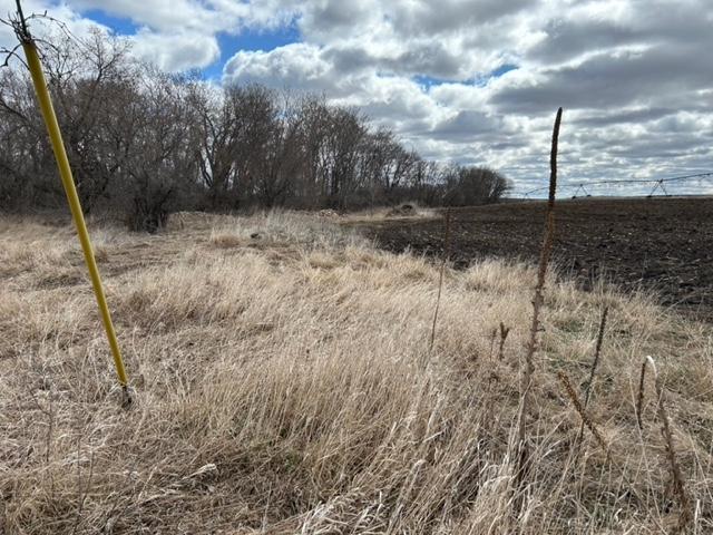 XXX County Road 18, Brooten, Minnesota image 13