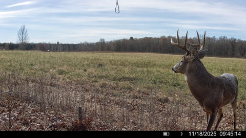 Vacant Land For Sale - TBD County Road D<br/> Glenwood City, WI 54013