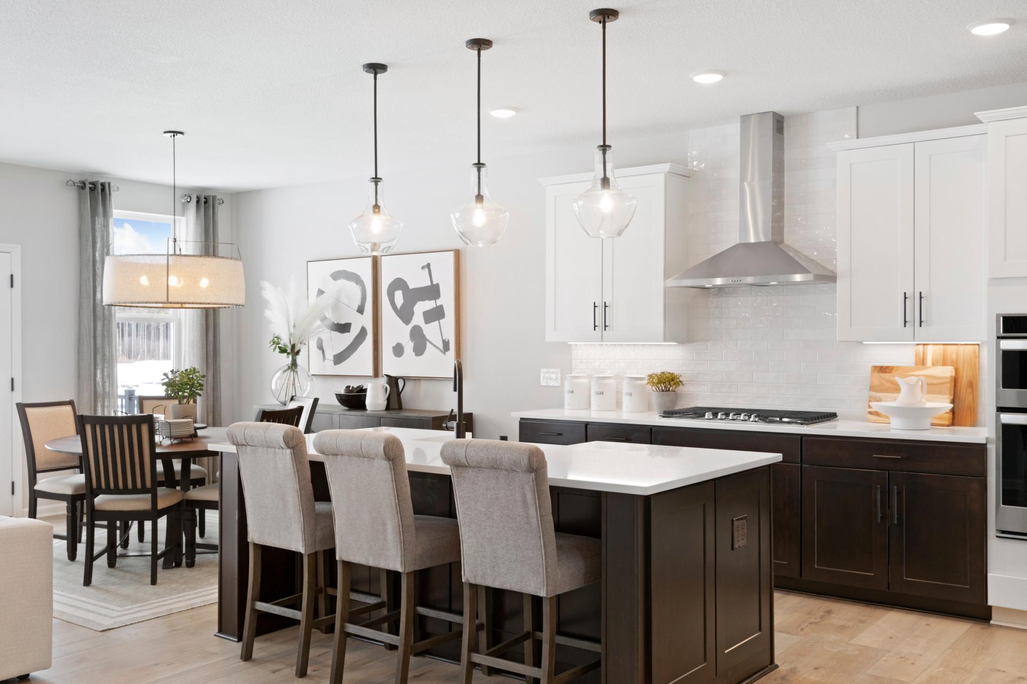 15016 Ashtown Lane, Rosemount, Minnesota image 3