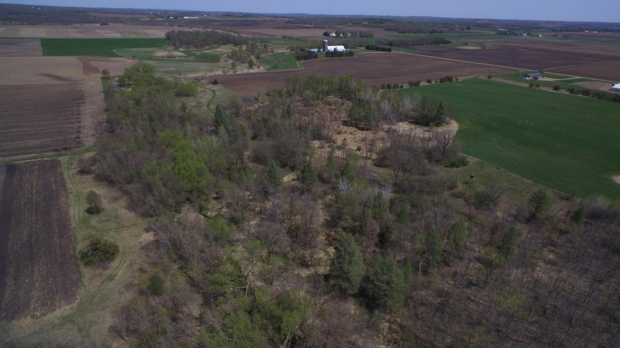 14097 275th Avenue, Grey Eagle, Minnesota image 15