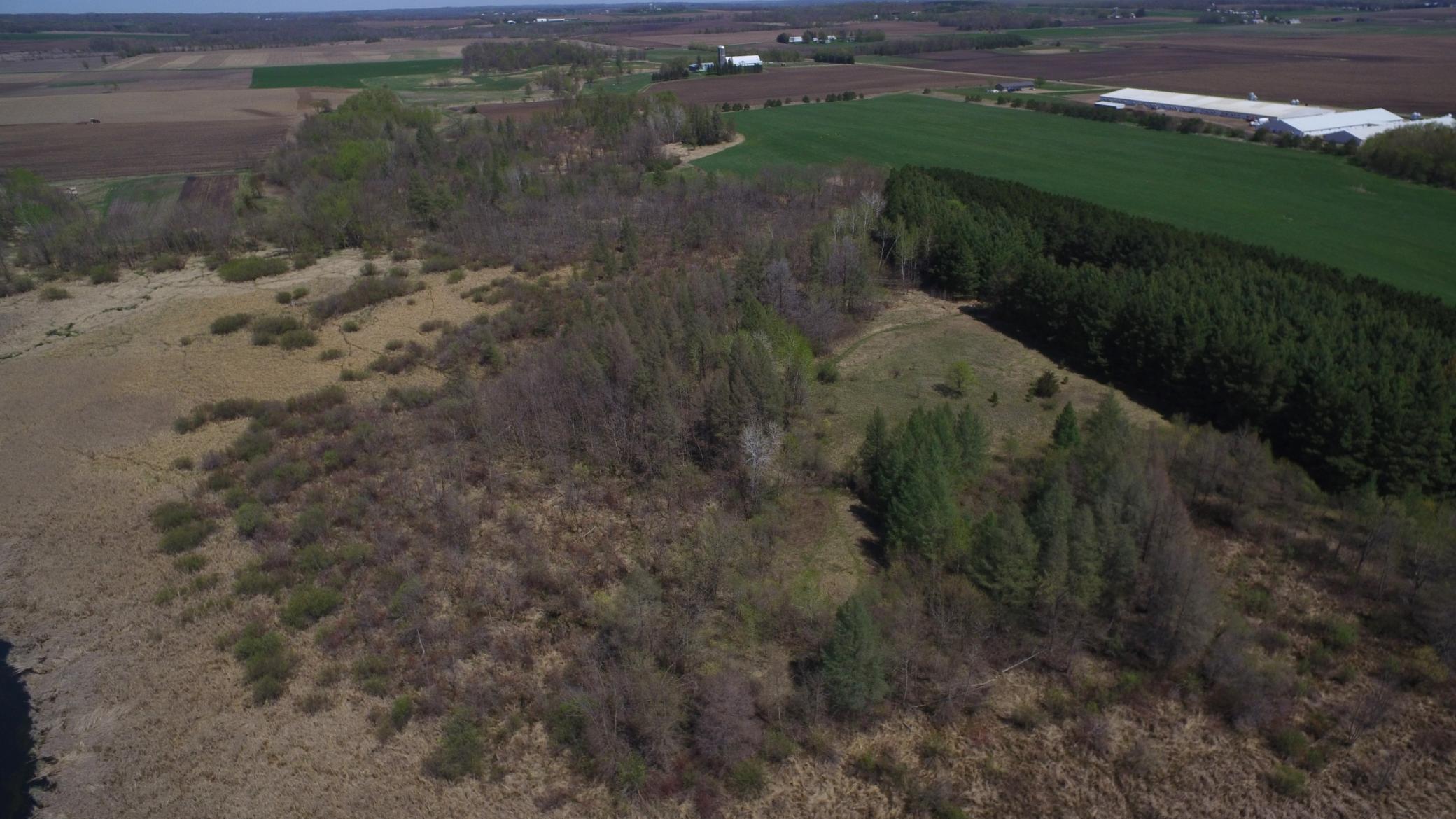 14097 275th Avenue, Grey Eagle, Minnesota image 16