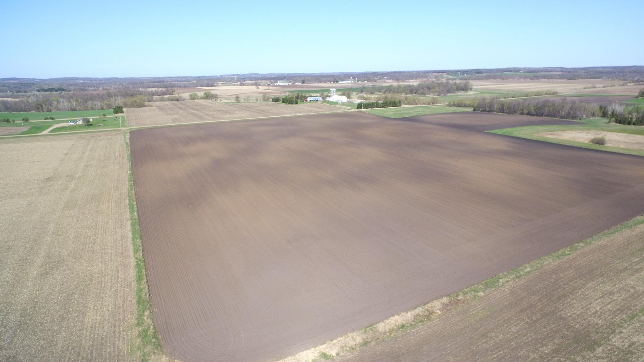 14097 275th Avenue, Grey Eagle, Minnesota image 4