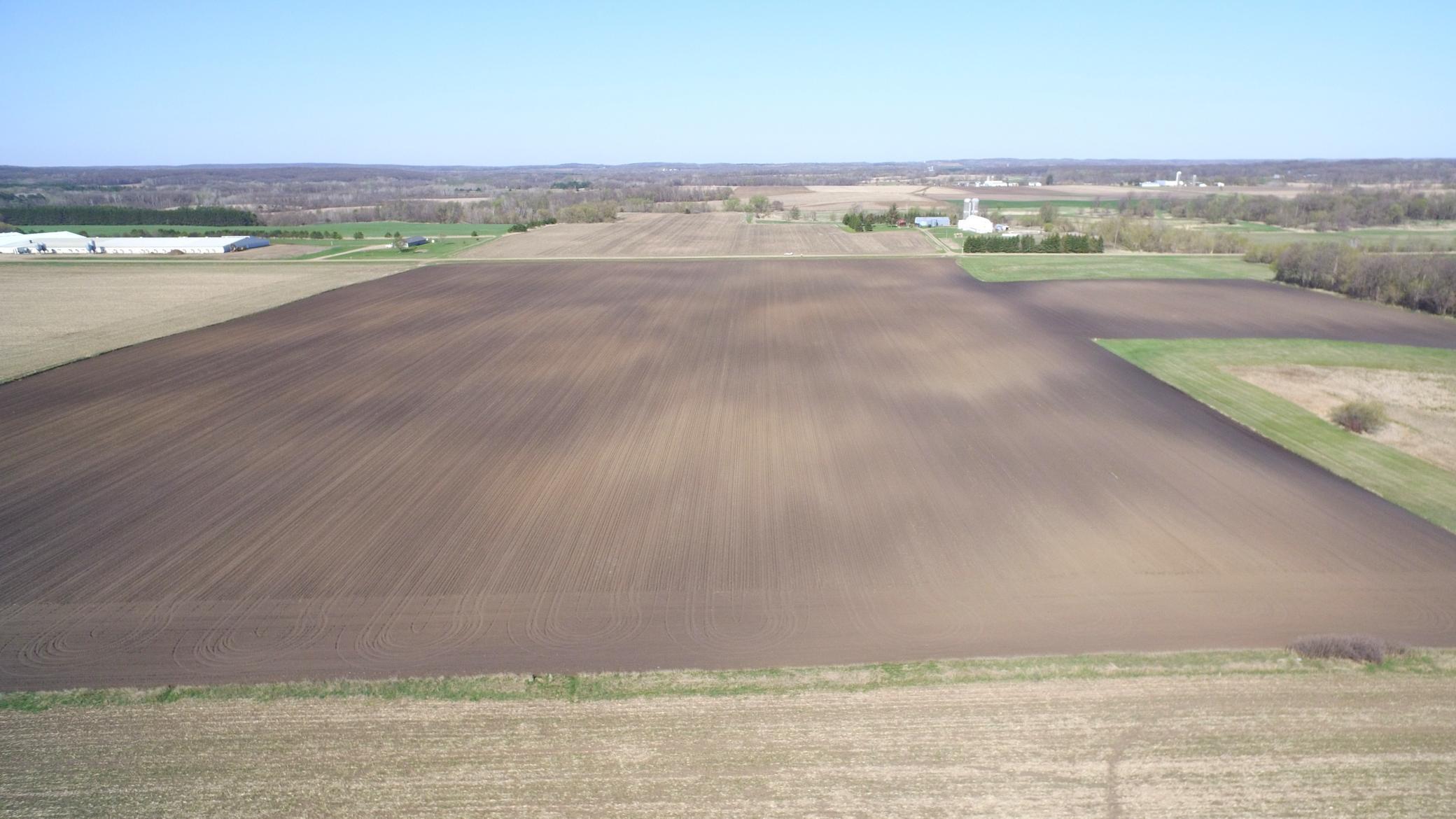 14097 275th Avenue, Grey Eagle, Minnesota image 3