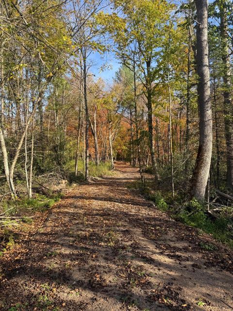 Vacant Land For Sale - 999 Porcupine Trail<br/> Aitkin, MN 56431