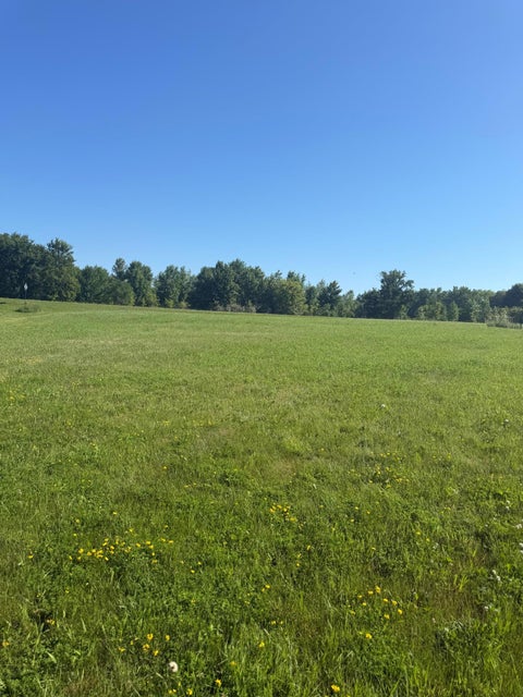 Vacant Land For Sale - TBD Hummingbird Lane<br/> Alexandria, MN 56308