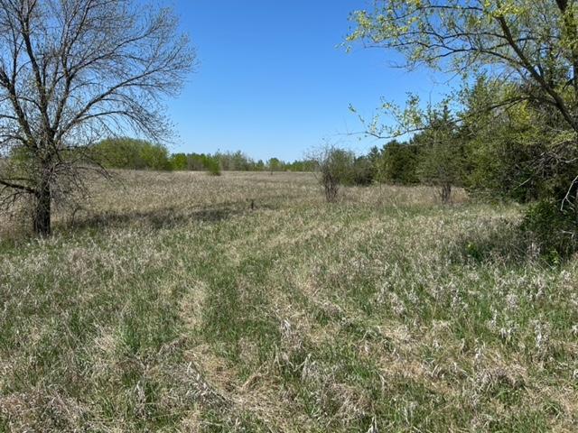 XXX 170th Avenue, Glenwood, Minnesota image 15