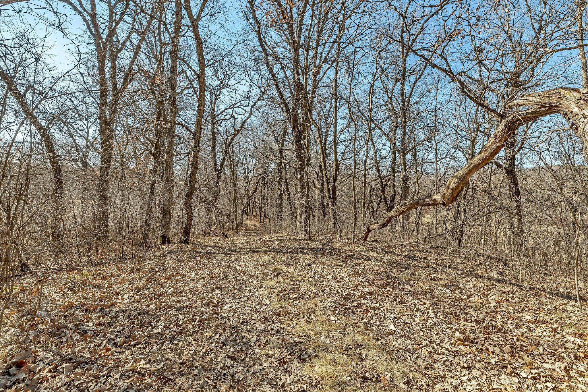 18067x 233rd Avenue, Big Lake, Minnesota image 41