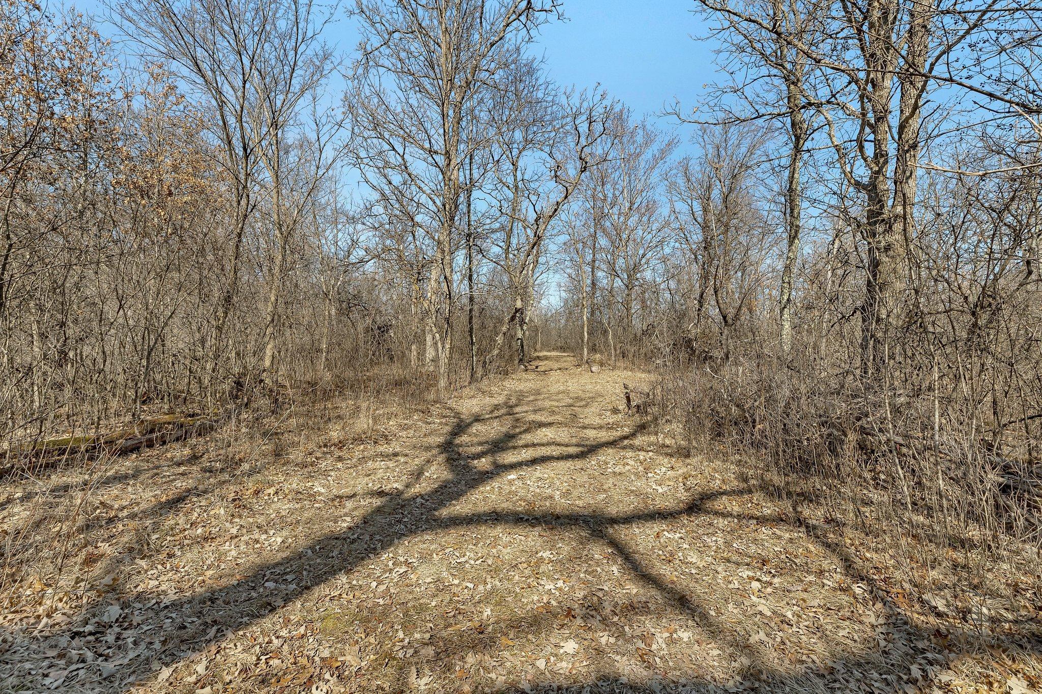 18067x 233rd Avenue, Big Lake, Minnesota image 43