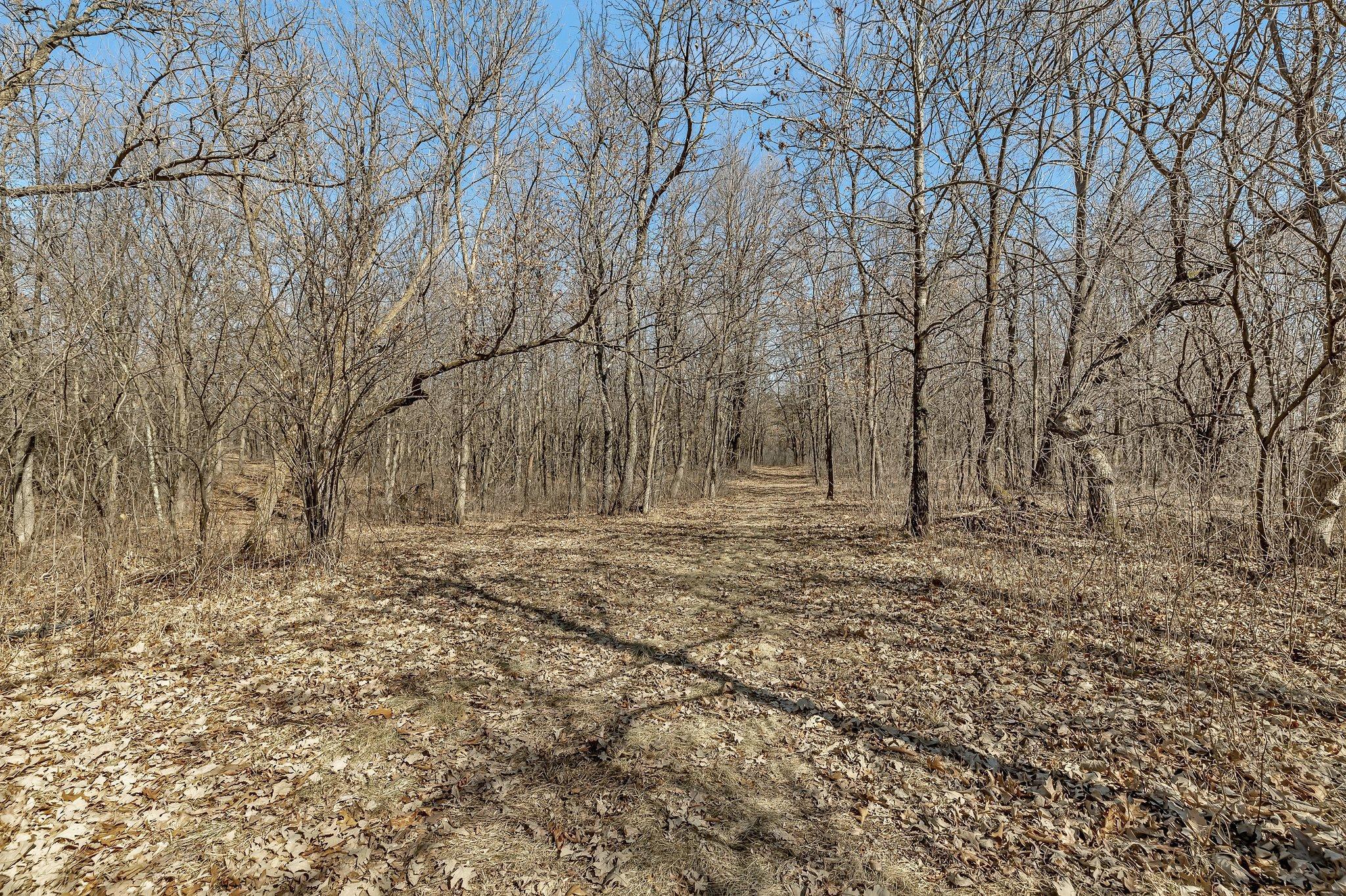 18067x 233rd Avenue, Big Lake, Minnesota image 42