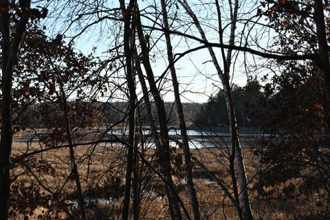 Vacant Land For Sale - TBD Overland Drive<br/> Todd County, Browerville, MN 56438