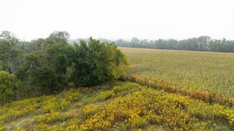 Vacant Land For Sale - TBD (LOT  2) Goat Back Road<br/> Pepin, WI 54759
