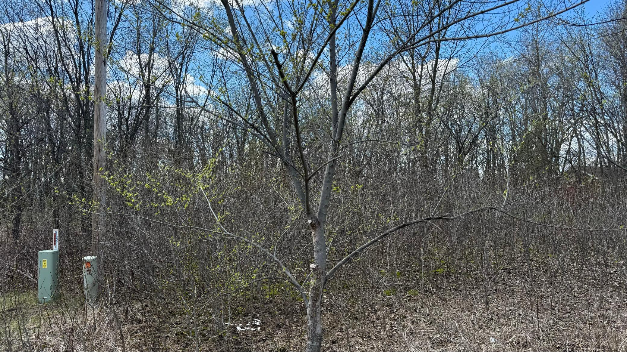 Lot 15 Sunset Strip, Alexandria, Minnesota image 39