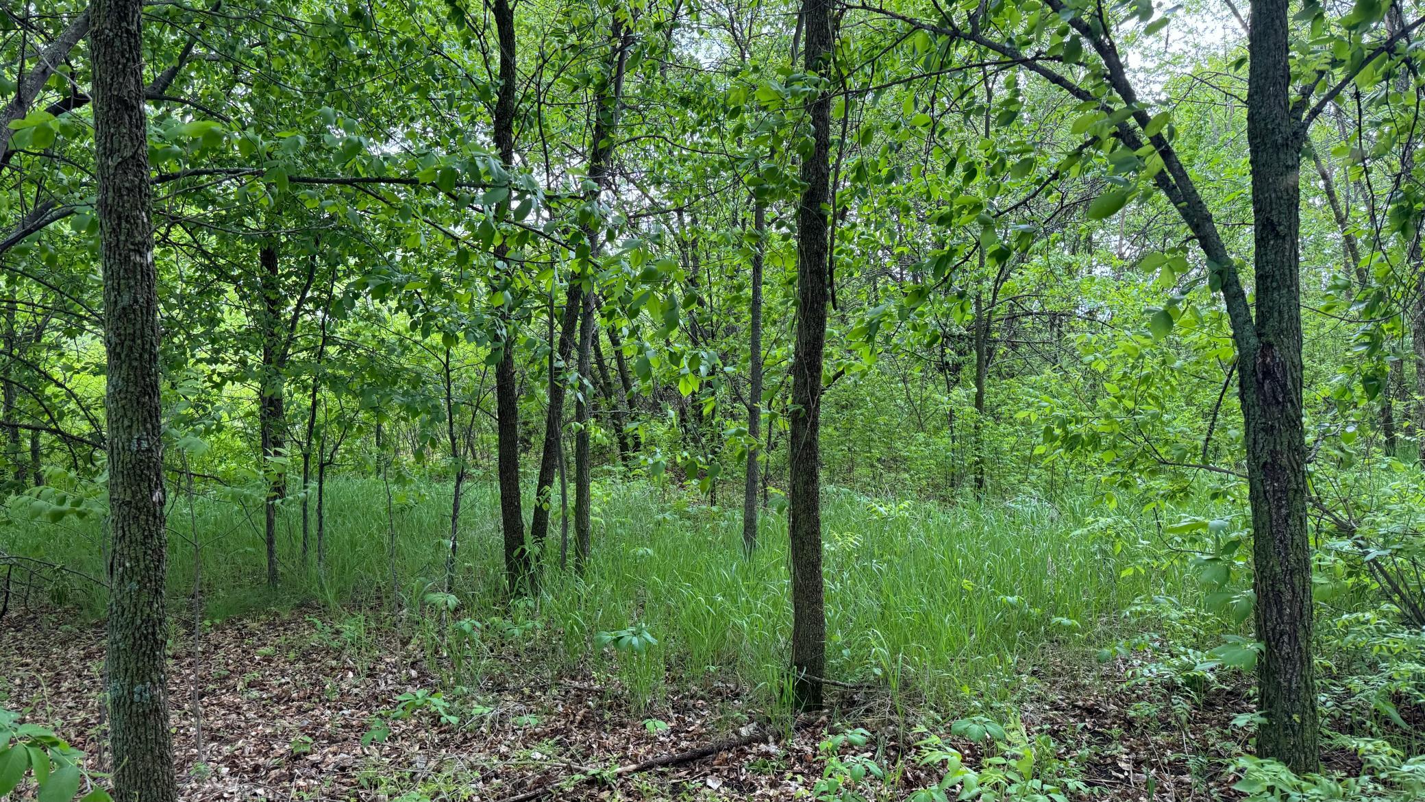 Lot 15 Sunset Strip, Alexandria, Minnesota image 34