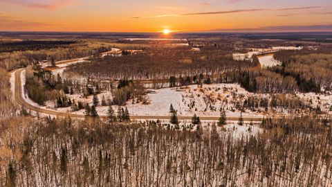 Vacant Land For Sale - 4416 County Road 1<br/> Koochiching County, Littlefork, MN 56653