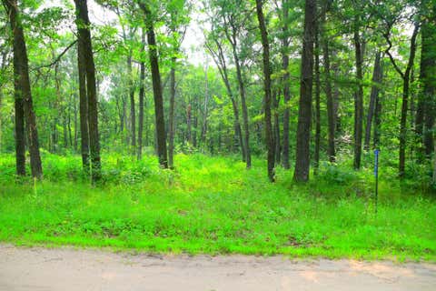 Vacant Land For Sale - 38970 Odin Court<br/> Browerville, MN 56438