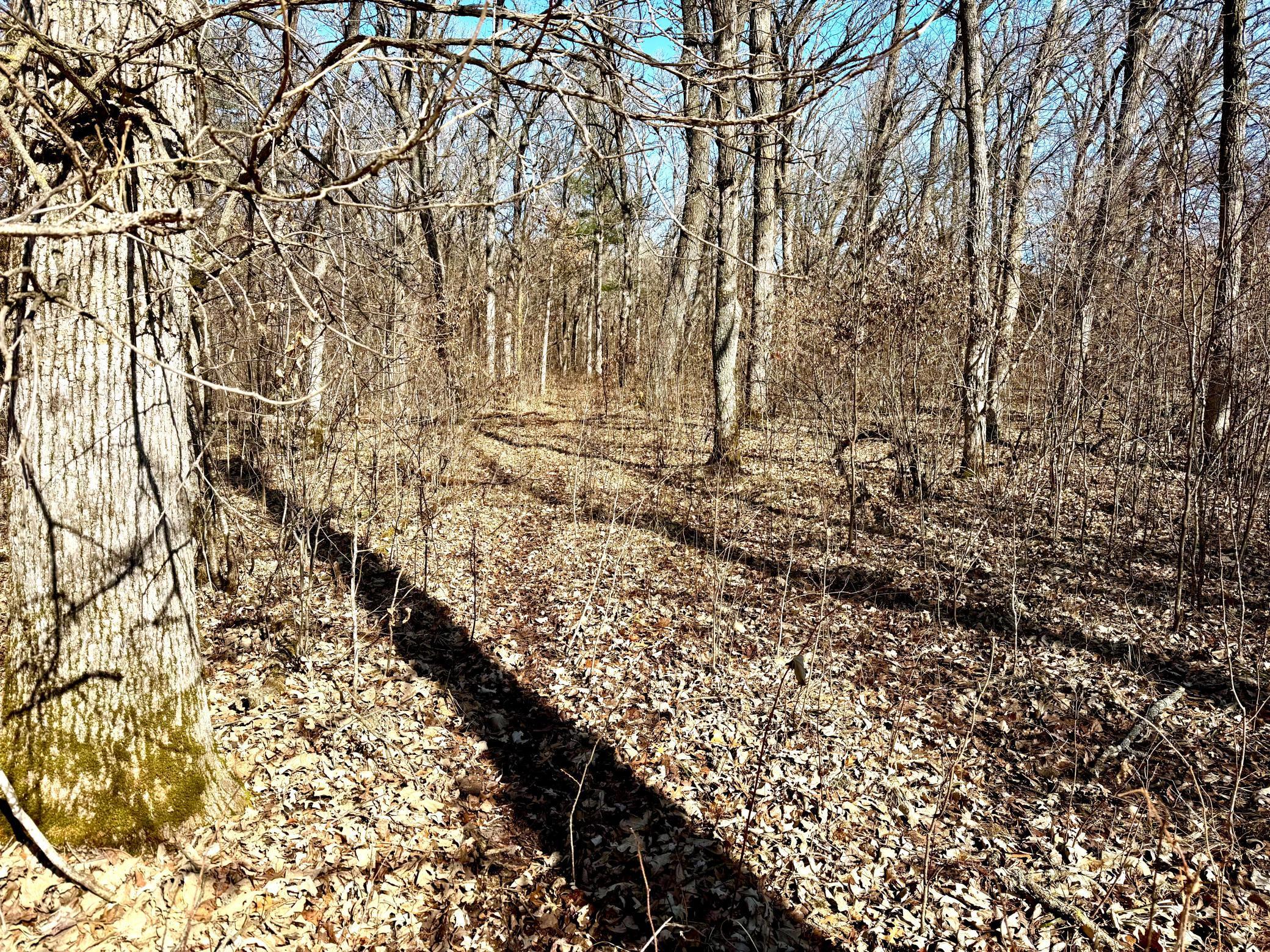 TBD-55.46AC County Rd 9, Harris, Minnesota image 48