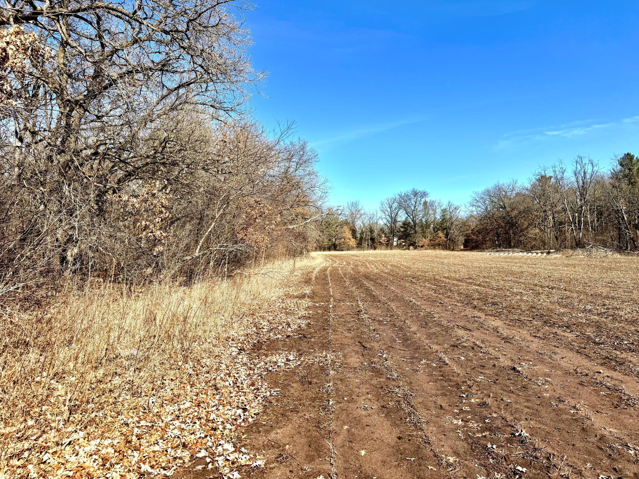 TBD-55.46AC County Rd 9, Harris, Minnesota image 10