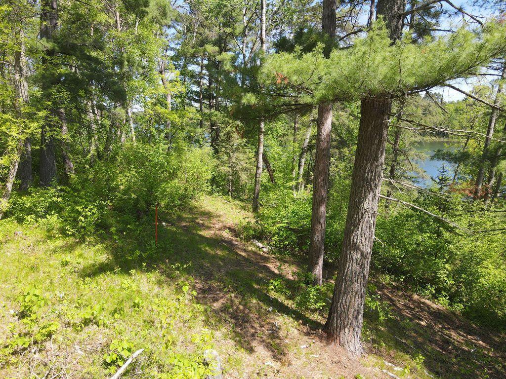 TBD Jewel Trail, Park Rapids, Minnesota image 14
