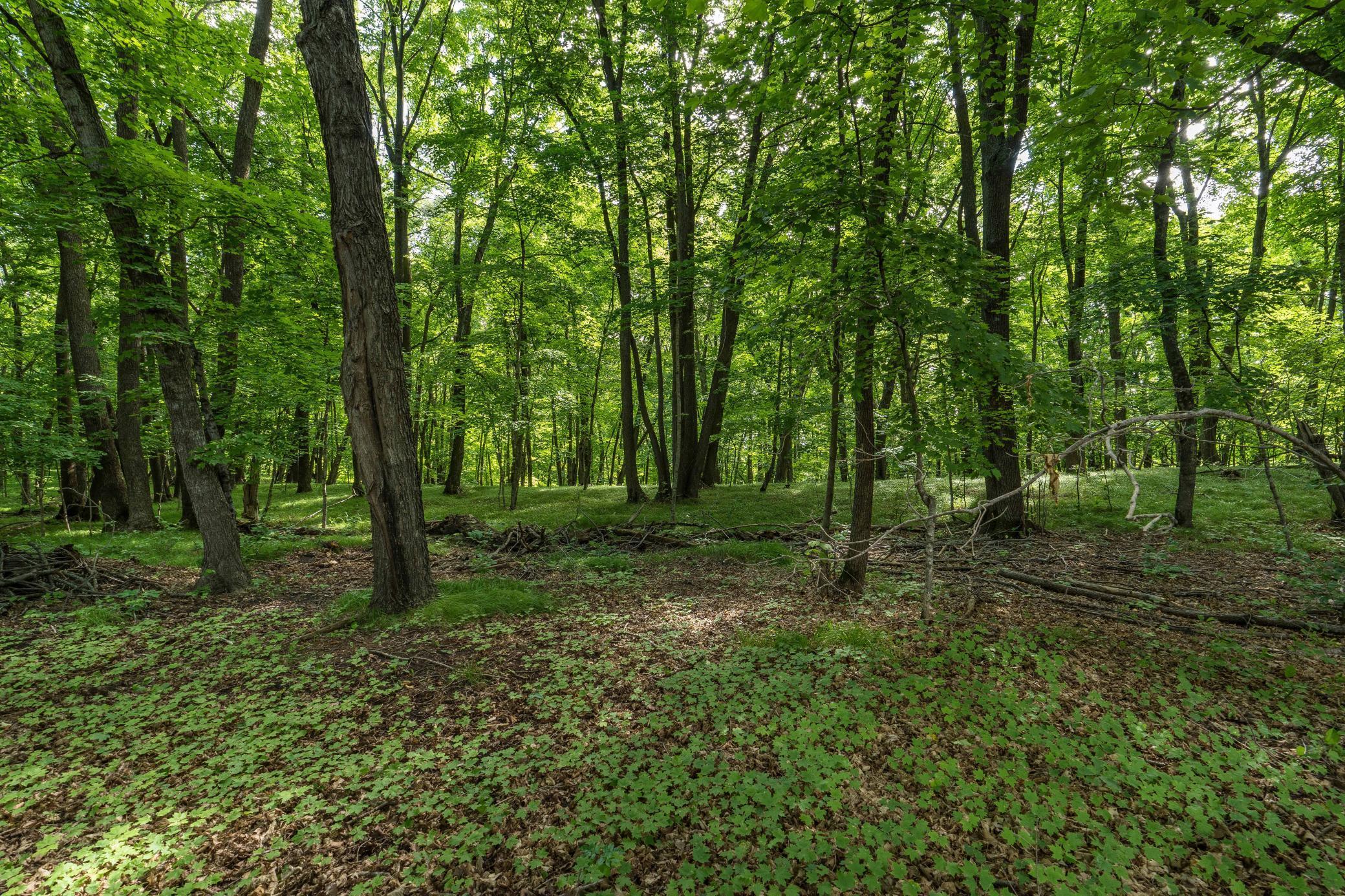 XXXXX Peninsula Lane, Battle Lake, Minnesota image 7