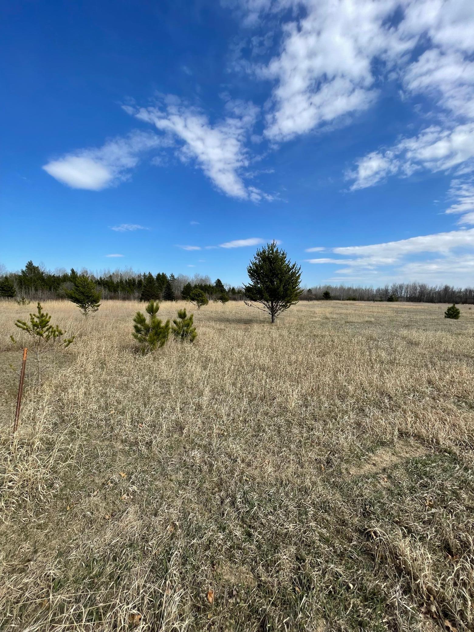 281 Silo Heights Drive, Wadena, Minnesota image 4