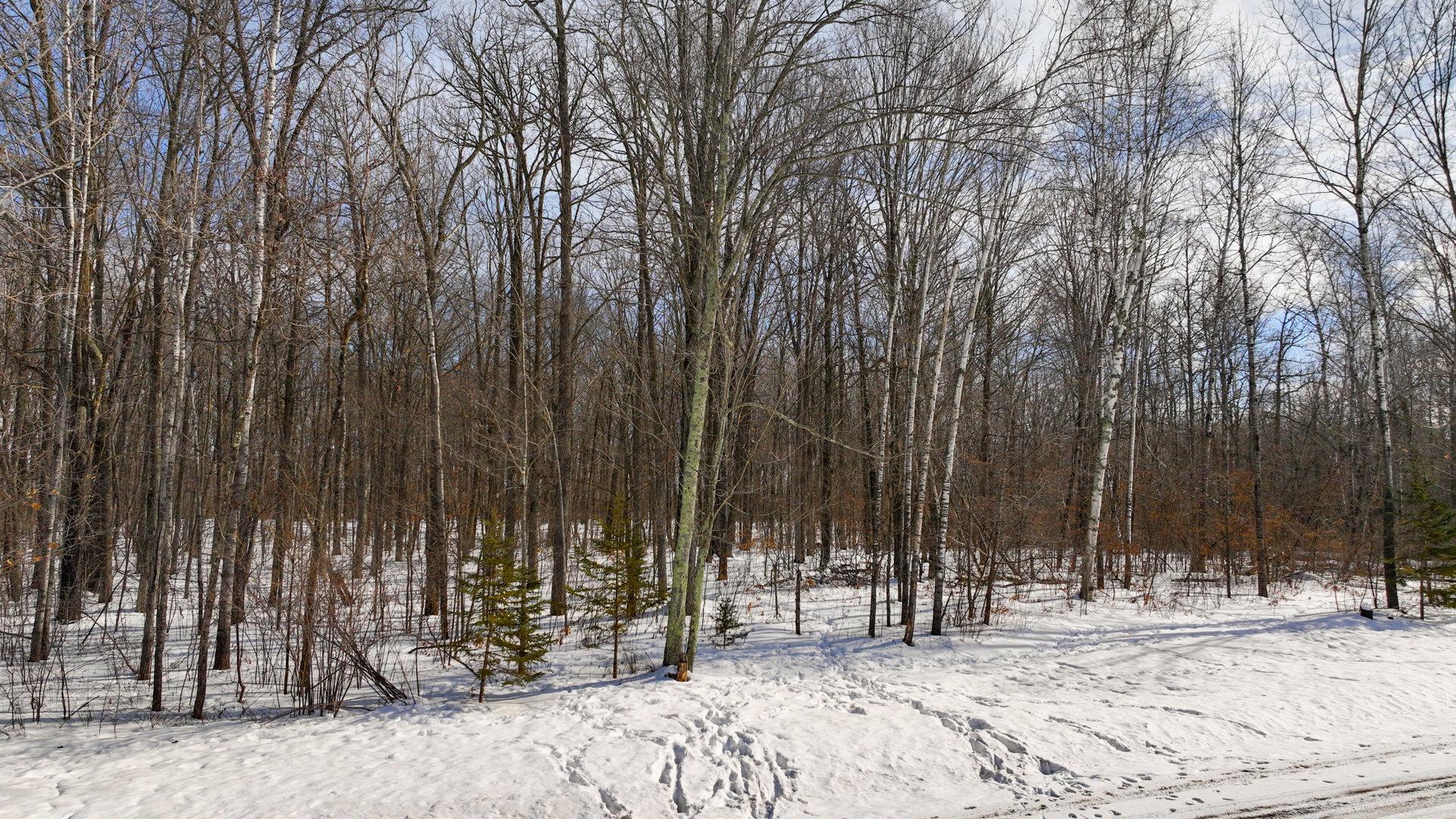 Lot 2 Degenaar Drive, Spooner, Wisconsin image 5