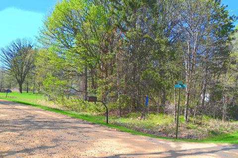 Vacant Land For Sale - TBD Plum Drive<br/> Todd County, Browerville, MN 56438