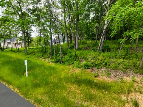 Vacant Land For Sale - 2685 Woodcliffe Trl Trl<br/> Hastings, MN 55033
