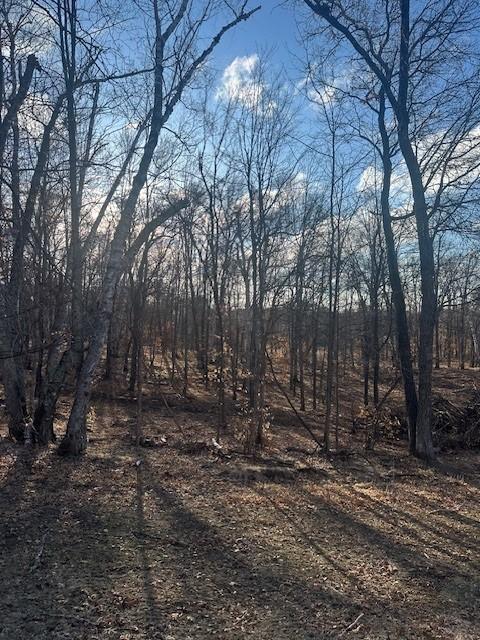 L6B2 Wilderness Parkway, Crosslake, Minnesota image 1