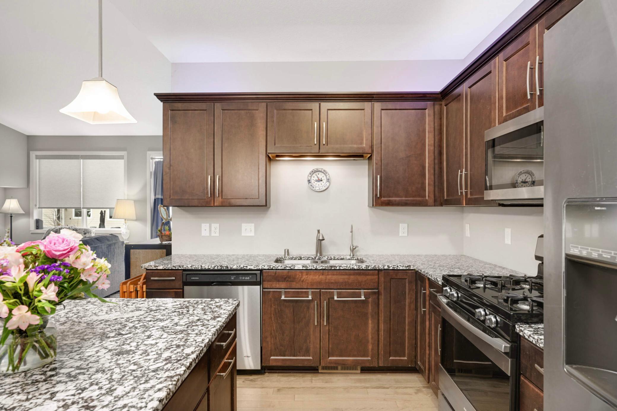 10885 Retreat Lane, Saint Paul, Minnesota image 1
