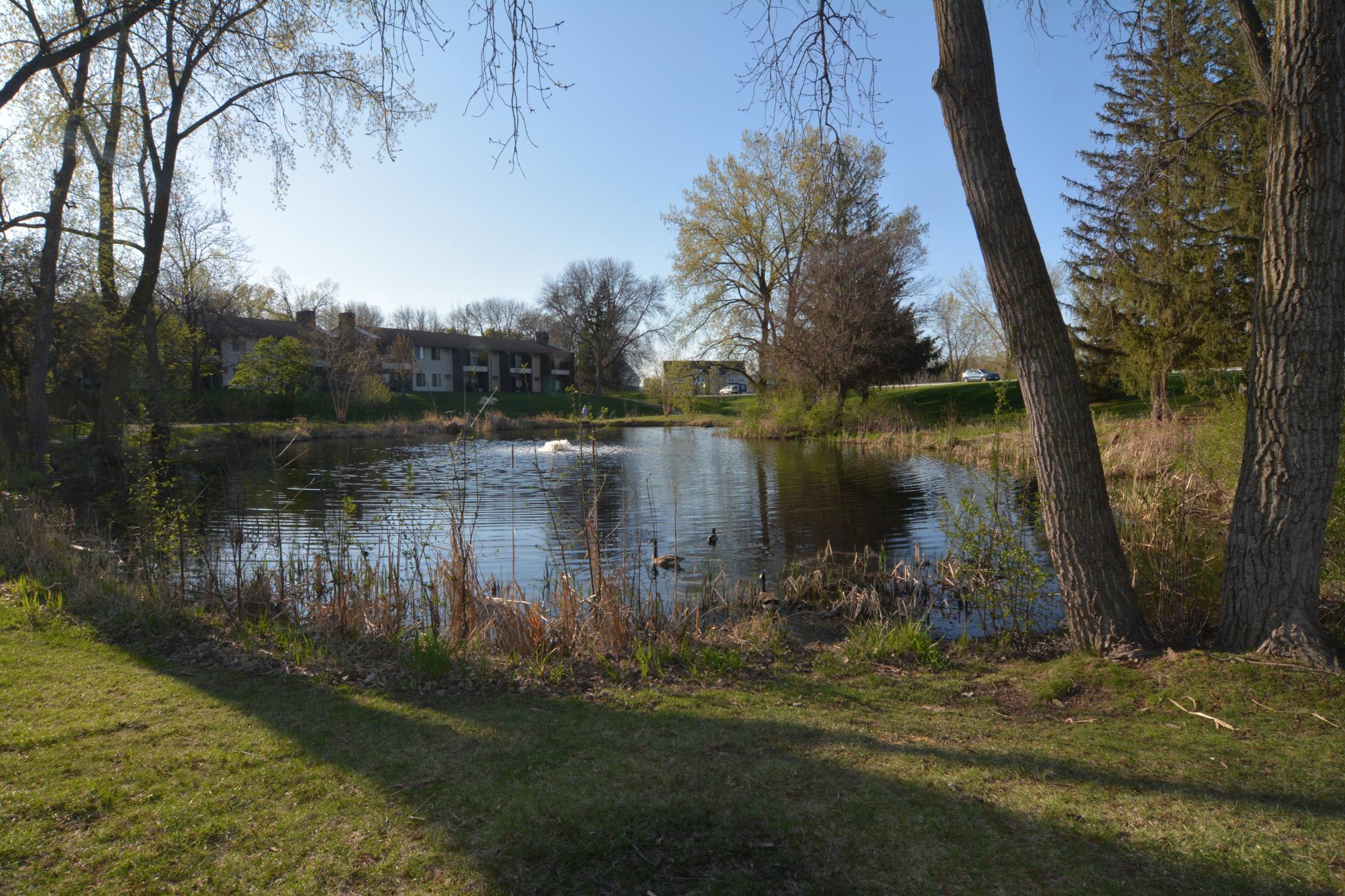 1534 Millpond Court, Chaska, Minnesota image 22