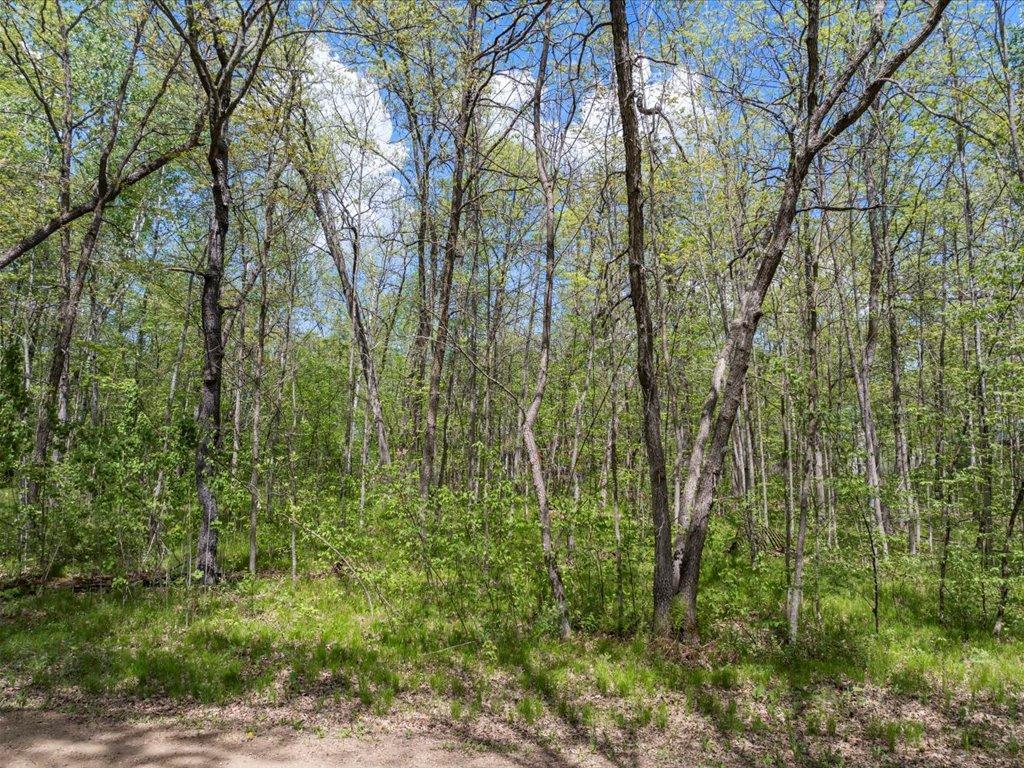 Lot 15 Woodpecker Lane, Emily, Minnesota image 17