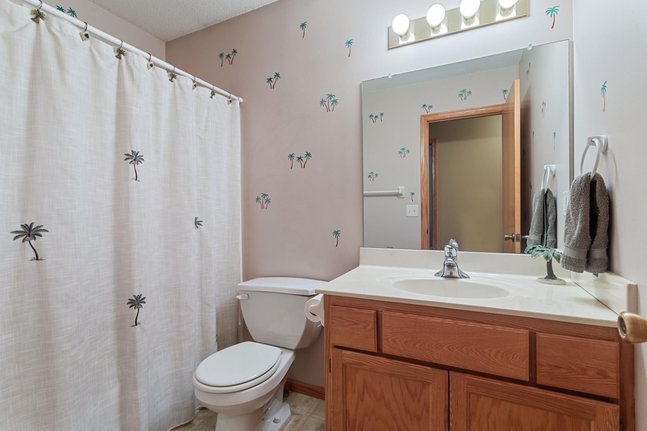 25655 Forest Boulevard Court, Wyoming, Minnesota image 22