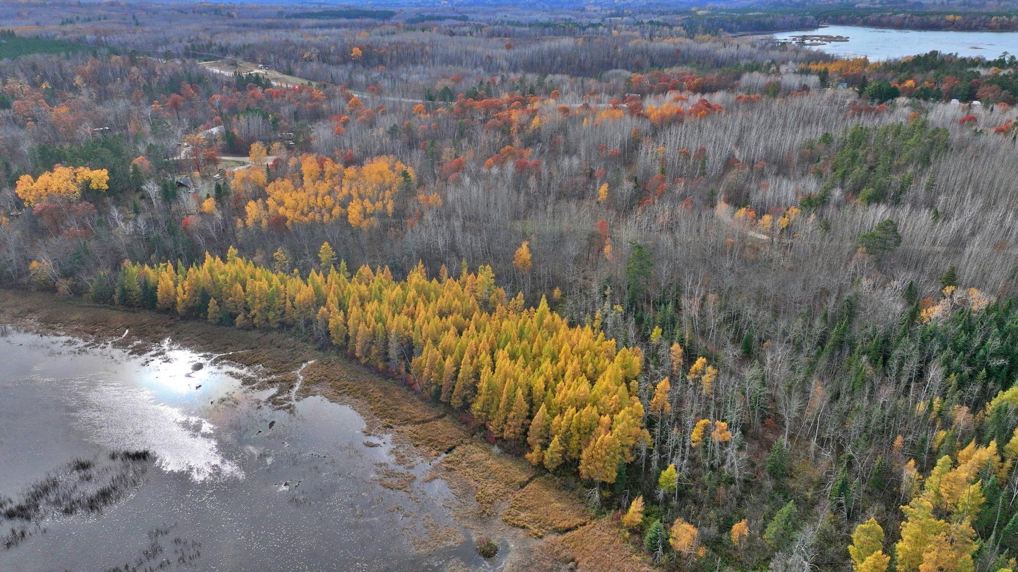 TBD New Paradise Point Drive - Lot 8, Lake George, Minnesota image 9