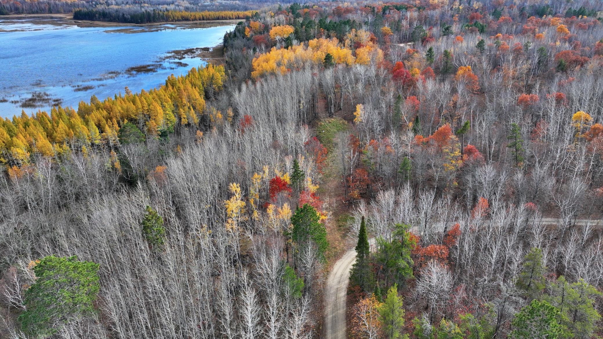 TBD New Paradise Point Drive - Lot 8, Lake George, Minnesota image 10