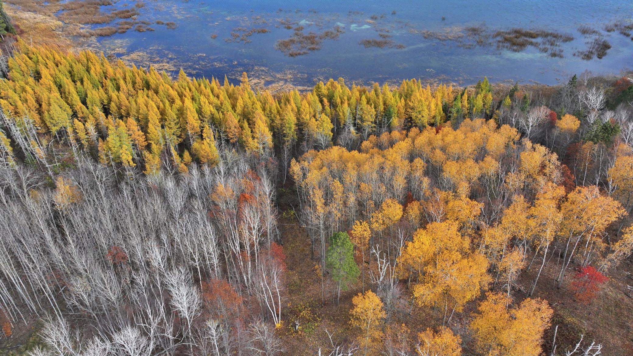 TBD New Paradise Point Drive - Lot 8, Lake George, Minnesota image 1