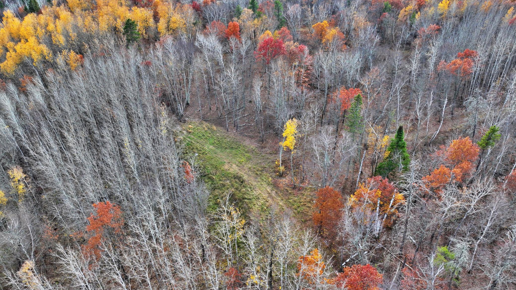 TBD New Paradise Point Drive - Lot 8, Lake George, Minnesota image 11