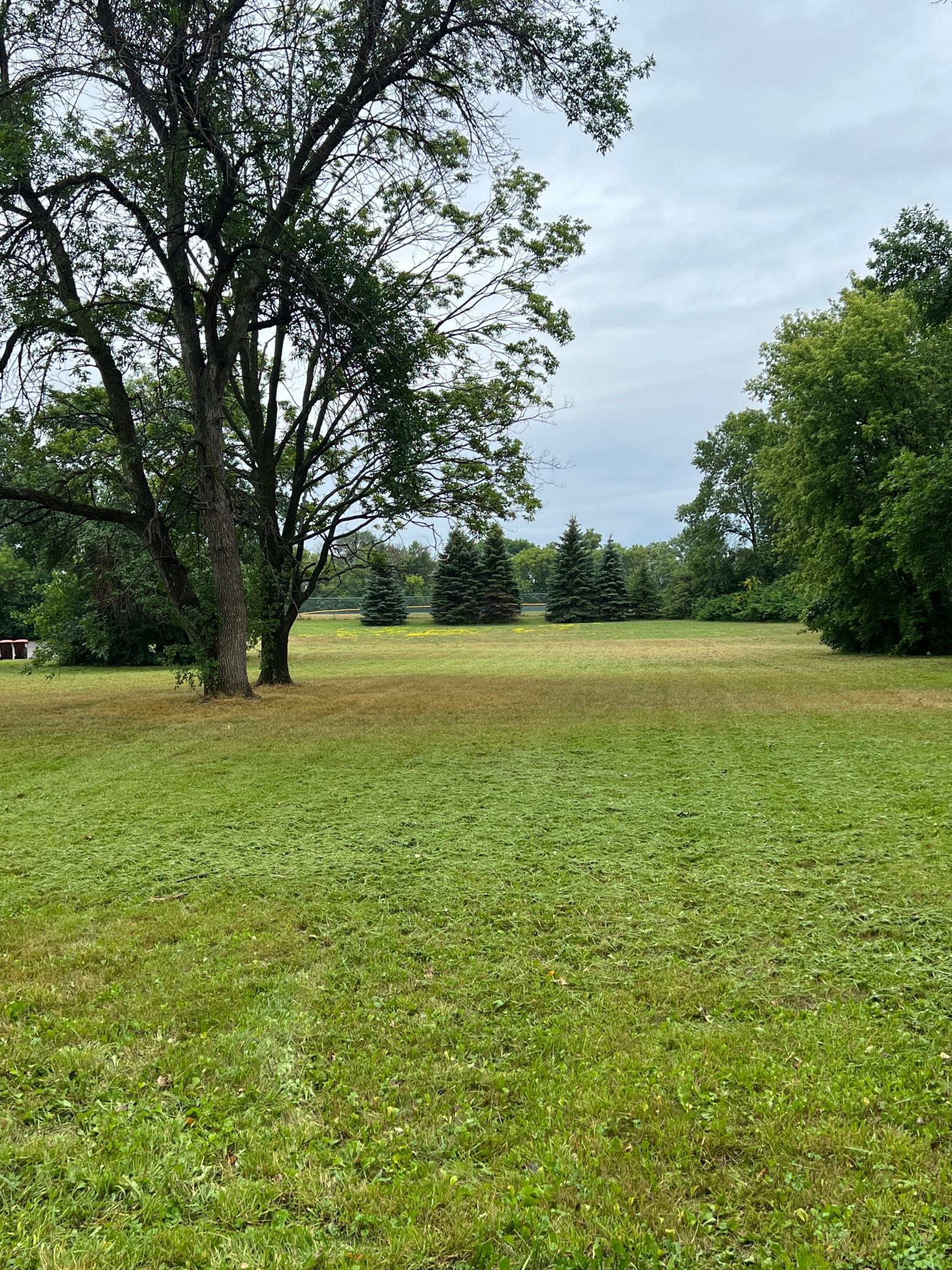 TBD Elm Avenue, Waverly, Minnesota image 2