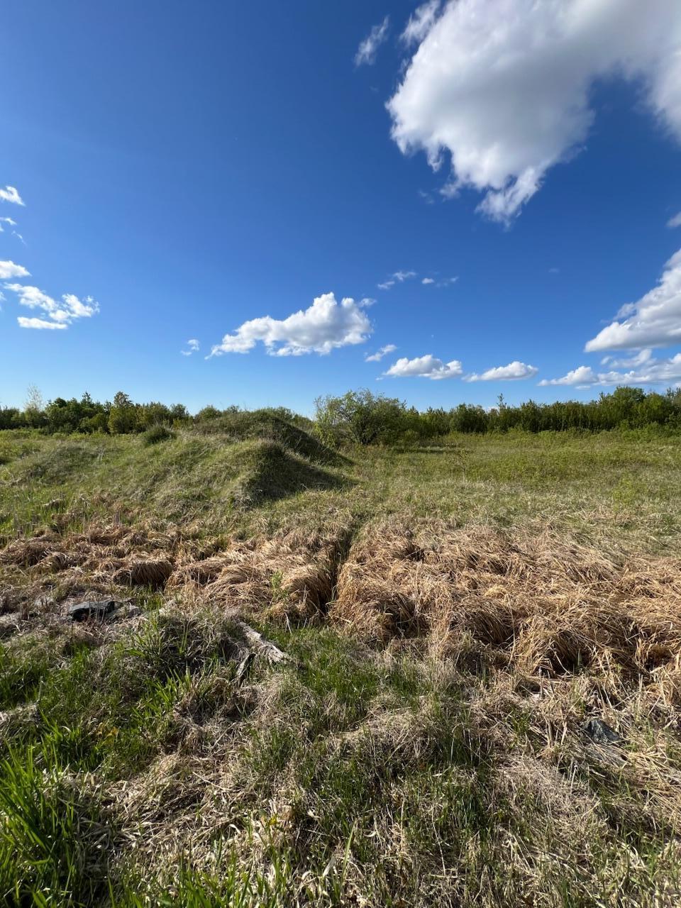 TBD 39th Street Se, Baudette, Minnesota image 9