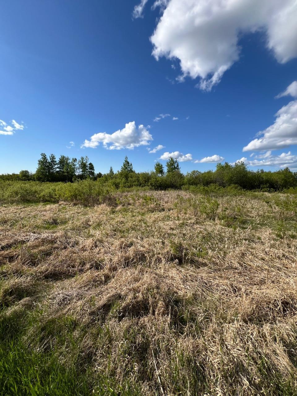 TBD 39th Street Se, Baudette, Minnesota image 7